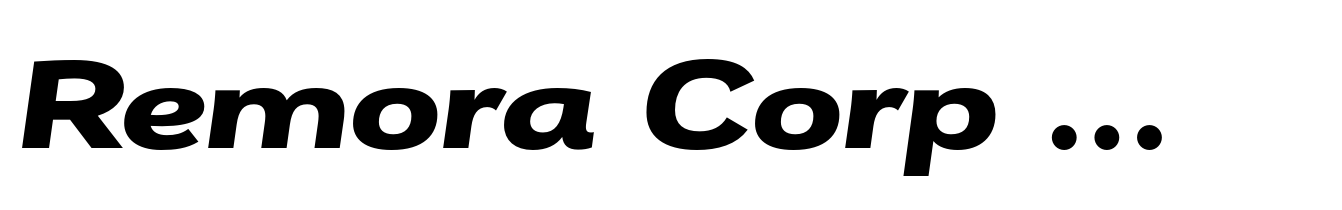 Remora Corp W5 Bold Italic